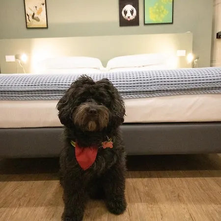 Aqualago E Apartment Verbania